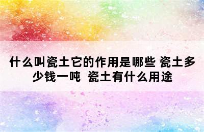 什么叫瓷土它的作用是哪些 瓷土多少钱一吨  瓷土有什么用途